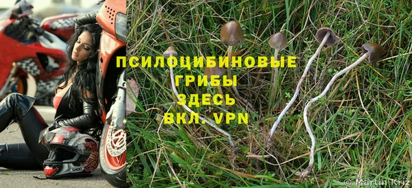 мет Алексеевка
