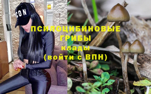 тгк Пересвет