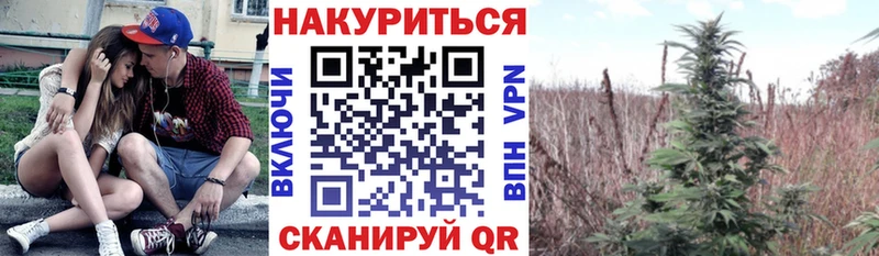 Канабис AK-47 цена наркотик ссылка на мегу онион Пучеж